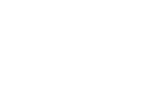 Flexweight Image